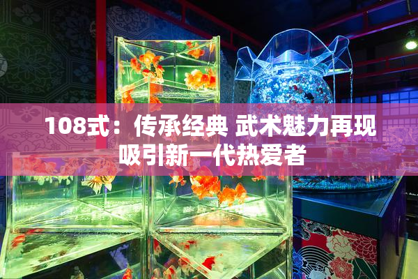 108式：传承经典 武术魅力再现 吸引新一代热爱者