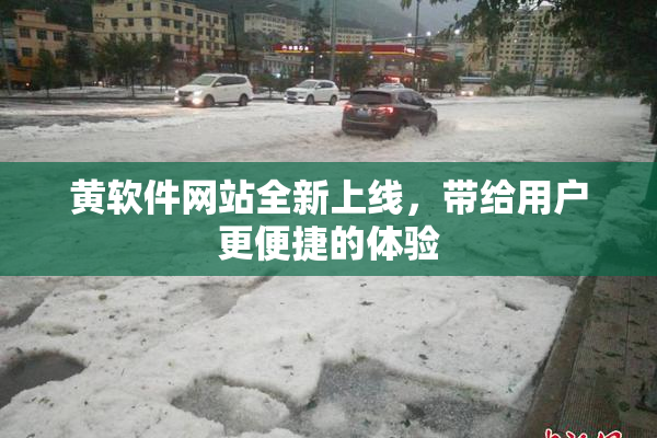 黄软件网站全新上线，带给用户更便捷的体验