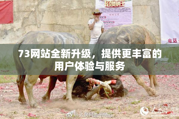 73网站全新升级，提供更丰富的用户体验与服务