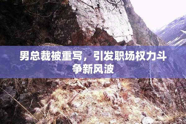 男总裁被重写，引发职场权力斗争新风波