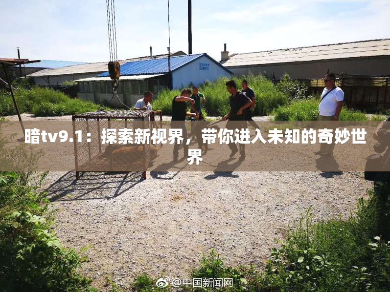 暗tv9.1：探索新视界，带你进入未知的奇妙世界