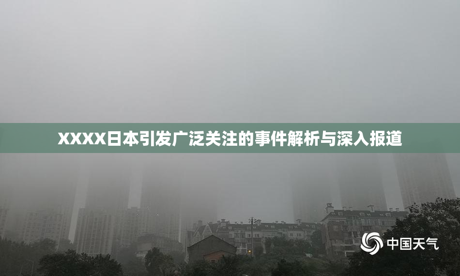 XXXX日本引发广泛关注的事件解析与深入报道