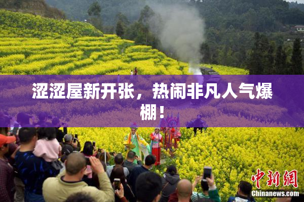 涩涩屋新开张，热闹非凡人气爆棚！