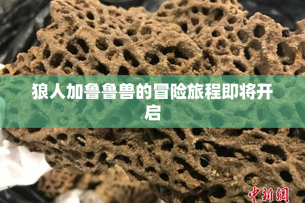 狼人加鲁鲁兽的冒险旅程即将开启