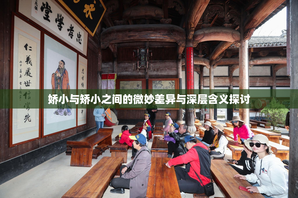 娇小与矫小之间的微妙差异与深层含义探讨