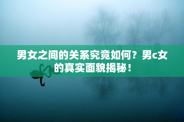 男女之间的关系究竟如何？男c女的真实面貌揭秘！