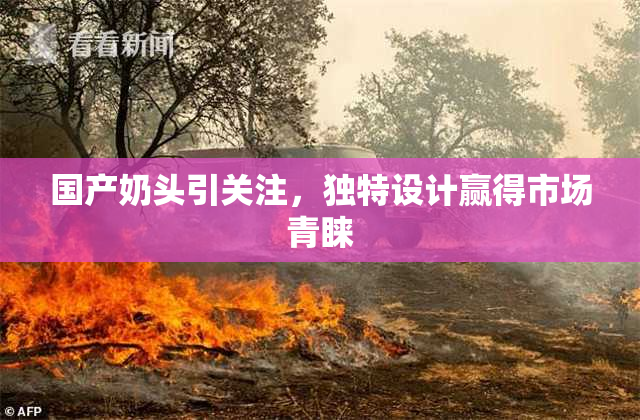 国产奶头引关注，独特设计赢得市场青睐