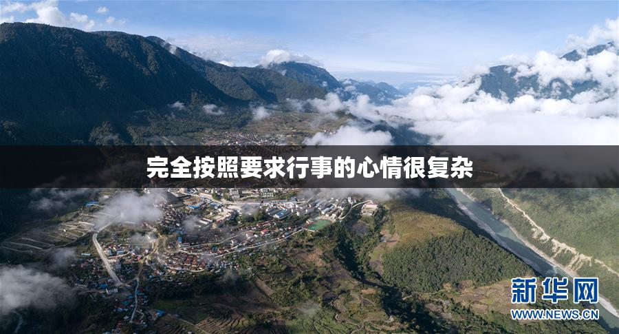 完全按照要求行事的心情很复杂