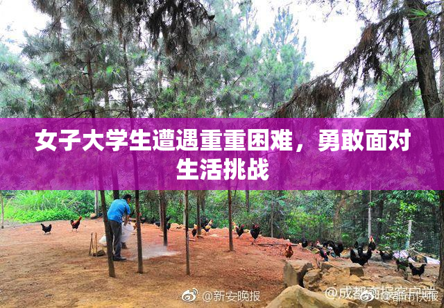 女子大学生遭遇重重困难，勇敢面对生活挑战