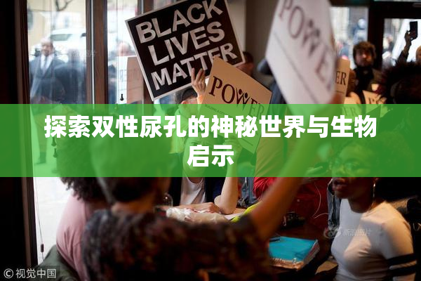 探索双性尿孔的神秘世界与生物启示