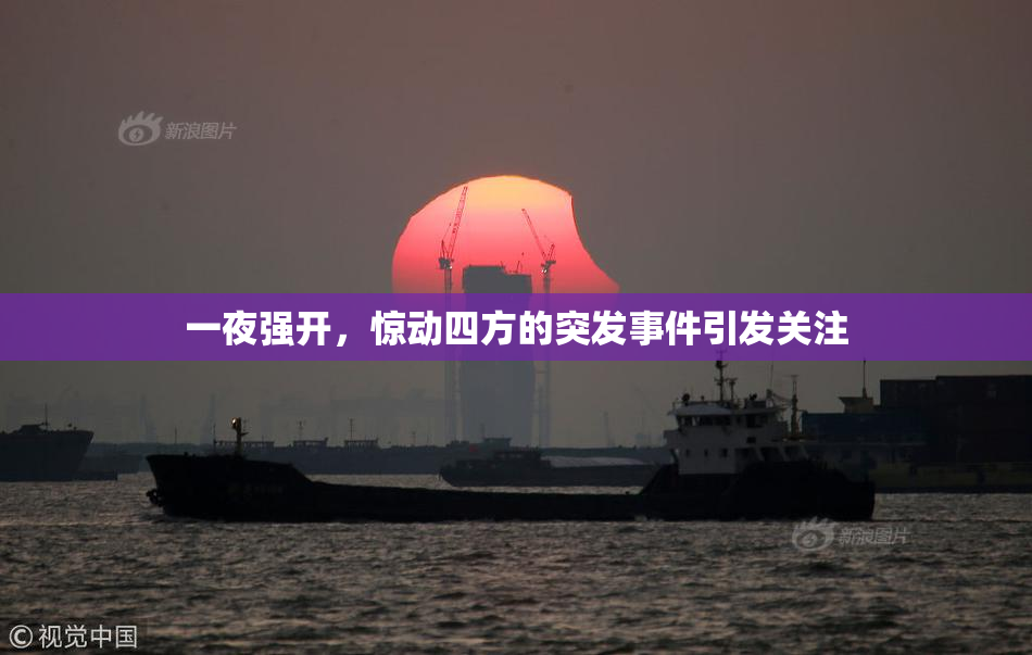 一夜强开，惊动四方的突发事件引发关注