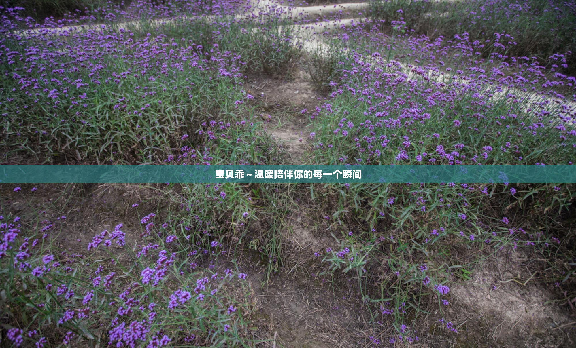 宝贝乖～温暖陪伴你的每一个瞬间