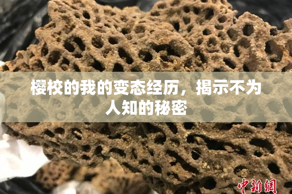 樱校的我的变态经历，揭示不为人知的秘密