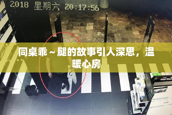 同桌乖～腿的故事引人深思，温暖心房