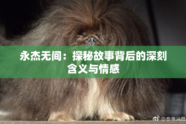 永杰无间：探秘故事背后的深刻含义与情感