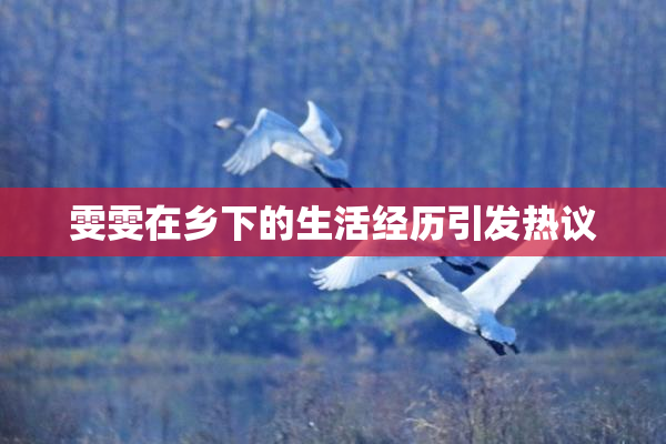 雯雯在乡下的生活经历引发热议