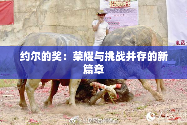 约尔的奖：荣耀与挑战并存的新篇章