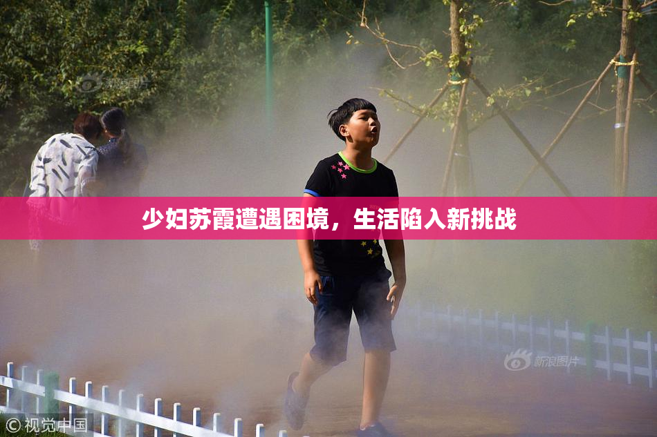 少妇苏霞遭遇困境，生活陷入新挑战