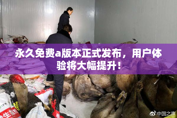 永久免费a版本正式发布，用户体验将大幅提升！