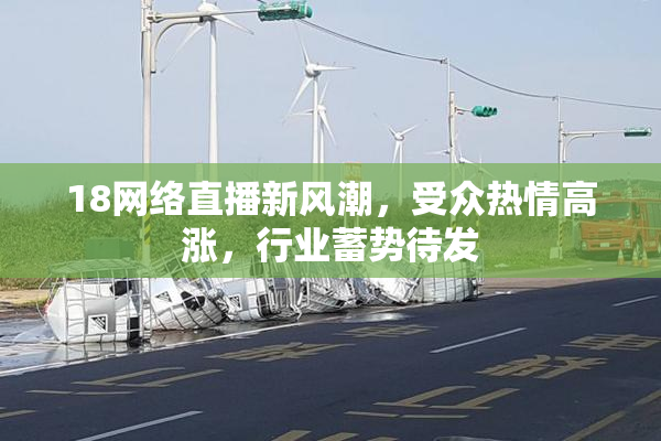 18网络直播新风潮，受众热情高涨，行业蓄势待发