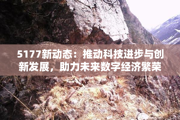 5177新动态：推动科技进步与创新发展，助力未来数字经济繁荣！