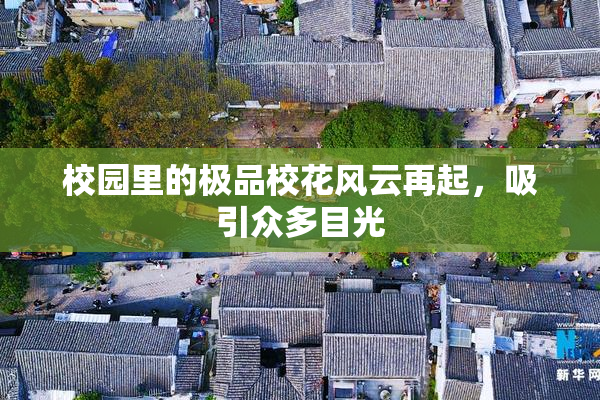 校园里的极品校花风云再起，吸引众多目光