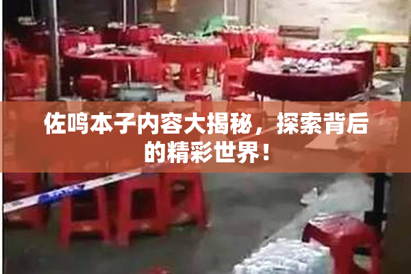 佐鸣本子内容大揭秘，探索背后的精彩世界！