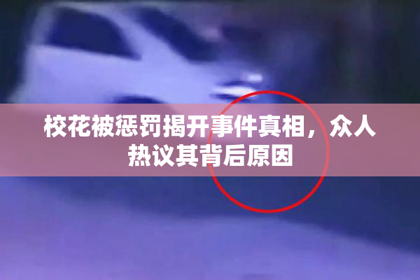 校花被惩罚揭开事件真相，众人热议其背后原因