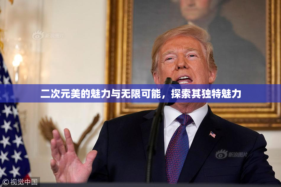 二次元美的魅力与无限可能，探索其独特魅力