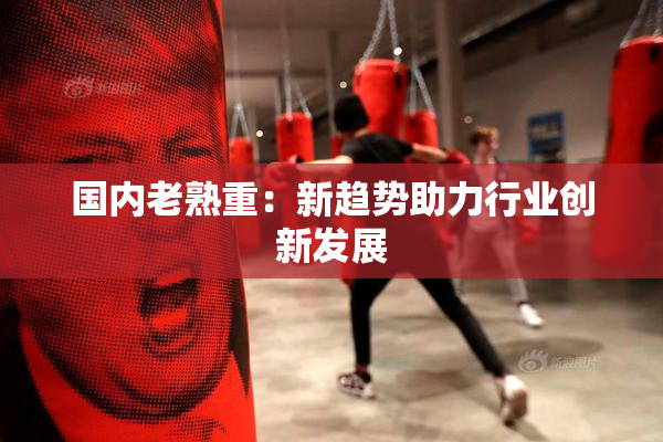 国内老熟重：新趋势助力行业创新发展