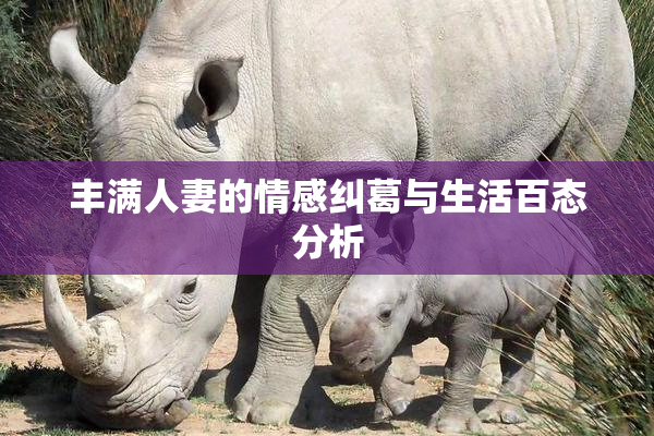 丰满人妻的情感纠葛与生活百态分析