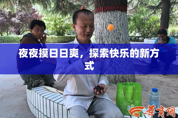 夜夜摸日日爽，探索快乐的新方式