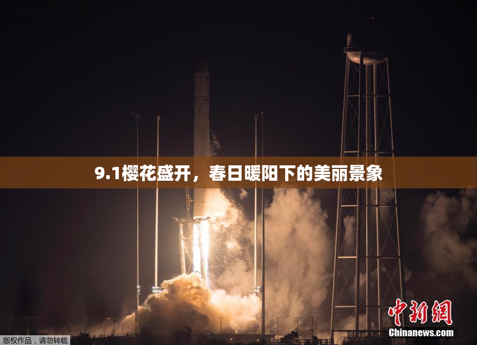 9.1樱花盛开，春日暖阳下的美丽景象