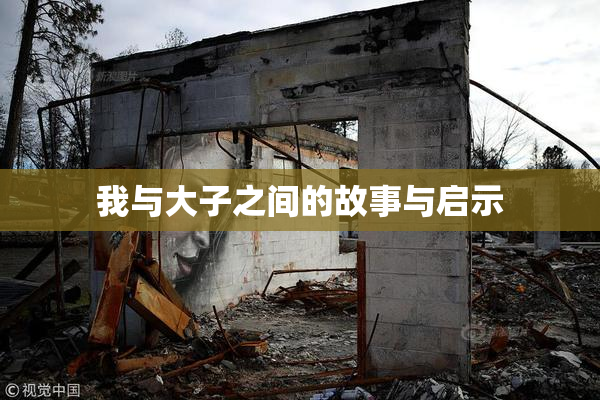 我与大子之间的故事与启示
