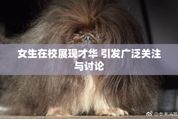 女生在校展现才华 引发广泛关注与讨论