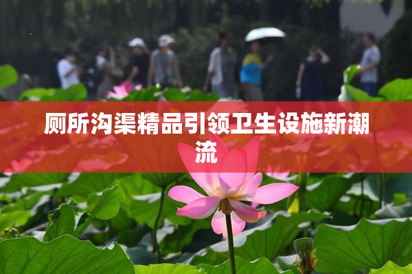 厕所沟渠精品引领卫生设施新潮流
