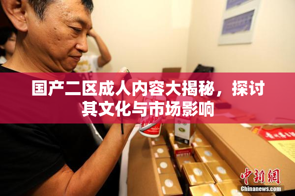 国产二区成人内容大揭秘，探讨其文化与市场影响