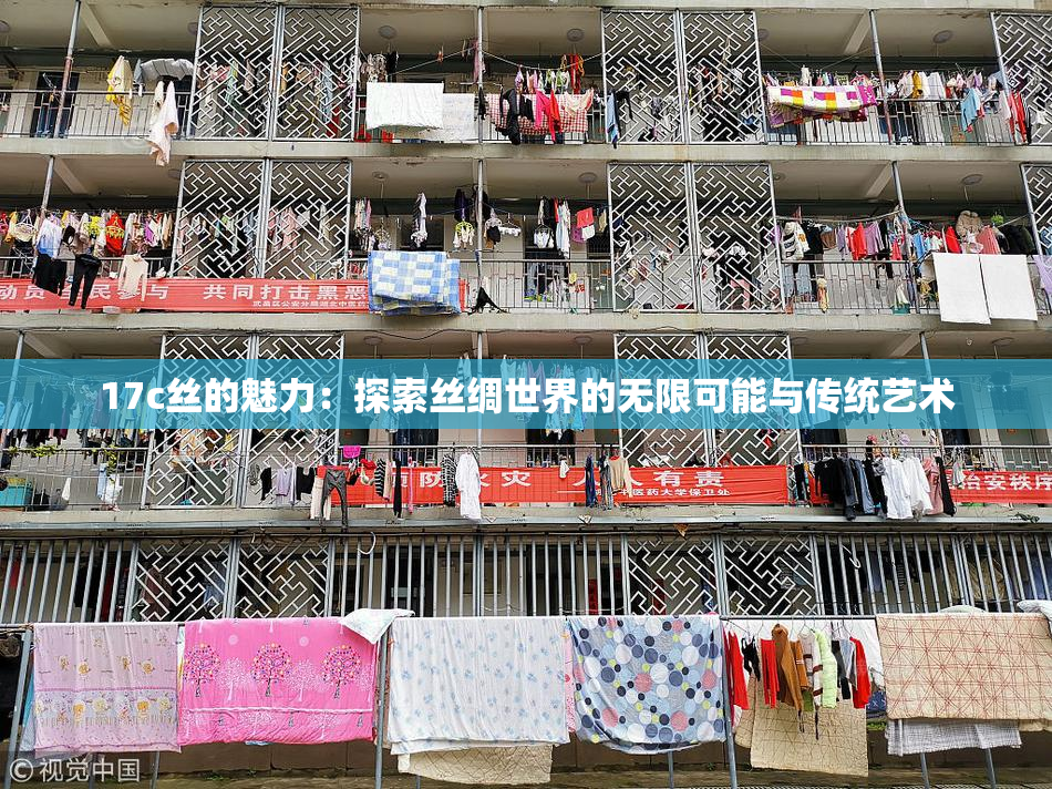 17c丝的魅力：探索丝绸世界的无限可能与传统艺术