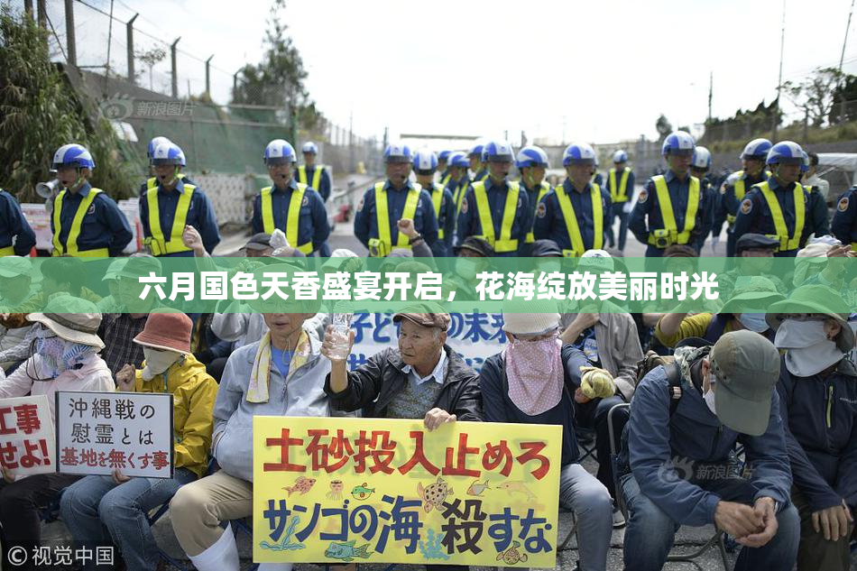 六月国色天香盛宴开启，花海绽放美丽时光