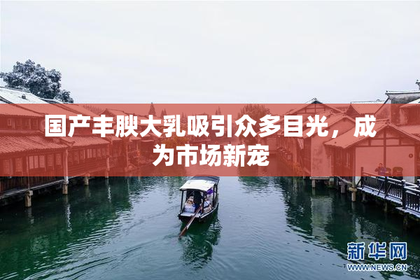 国产丰腴大乳吸引众多目光，成为市场新宠