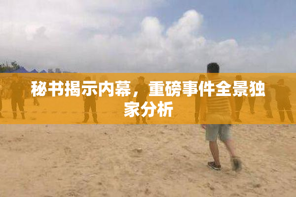 秘书揭示内幕，重磅事件全景独家分析