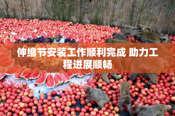 伸缩节安装工作顺利完成 助力工程进展顺畅
