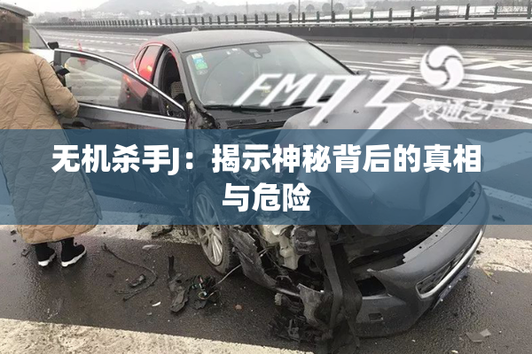 无机杀手J：揭示神秘背后的真相与危险