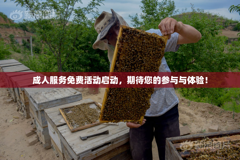 成人服务免费活动启动，期待您的参与与体验！