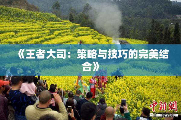 《王者大司：策略与技巧的完美结合》