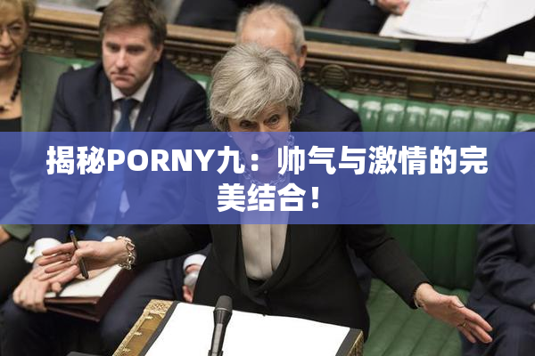 揭秘PORNY九：帅气与激情的完美结合！