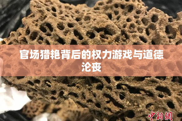 官场猎艳背后的权力游戏与道德沦丧