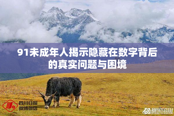 91未成年人揭示隐藏在数字背后的真实问题与困境