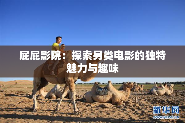 屁屁影院：探索另类电影的独特魅力与趣味