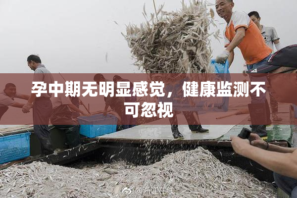 孕中期无明显感觉，健康监测不可忽视